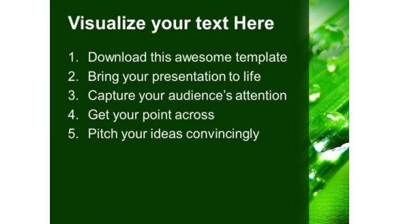 waterdrop_on_fern_leaves_nature_powerpoint_templates_ppt_backgrounds_for_slides_0213_text.jpg