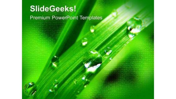 waterdrop_on_fern_leaves_nature_powerpoint_templates_ppt_backgrounds_for_slides_0213_title.jpg