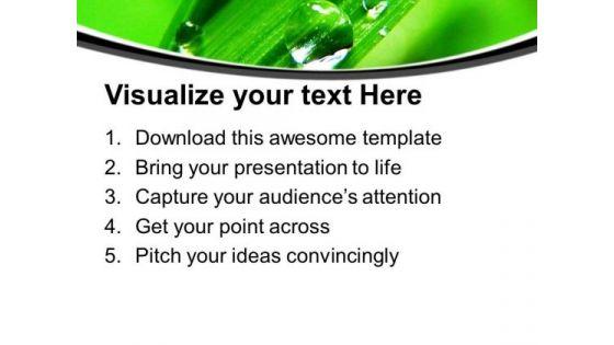 waterdrops_on_green_leaves_savings_powerpoint_templates_ppt_backgrounds_for_slides_0313_print.jpg