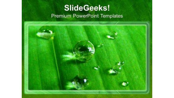 waterdrops_on_leaves_fresh_savings_powerpoint_templates_ppt_backgrounds_for_slides_0213_title.jpg