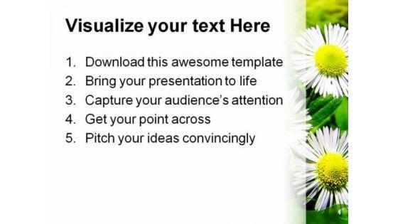 white_chamomiles_flowers_beauty_powerpoint_themes_and_powerpoint_slides_0411_print.jpg