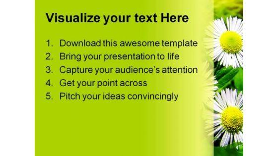white_chamomiles_flowers_beauty_powerpoint_themes_and_powerpoint_slides_0411_text.jpg