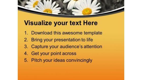 white_daisy_flower_background_powerpoint_templates_ppt_backgrounds_for_slides_0613_text.jpg