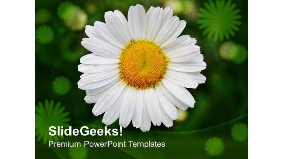 white_daisy_flower_with_green_background_powerpoint_templates_ppt_backgrounds_for_slides_0613_title.jpg