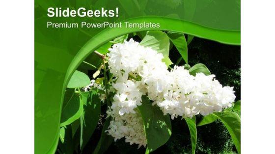 white_flowers_nature_abstract_background_powerpoint_templates_ppt_backgrounds_for_slides_0613_title.jpg