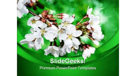 white_flowers_on_branch_nature_powerpoint_templates_and_powerpoint_backgrounds_0311_title.jpg