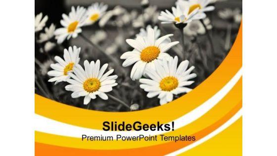 white_lillies_with_abstract_background_powerpoint_templates_ppt_backgrounds_for_slides_0613_title.jpg