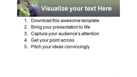 wild_blueberry_food_powerpoint_templates_and_powerpoint_backgrounds_0211_print.jpg