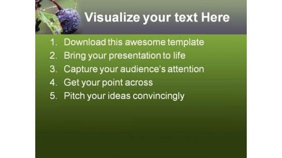 wild_blueberry_food_powerpoint_templates_and_powerpoint_backgrounds_0211_text.jpg
