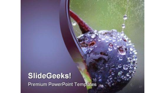 wild_blueberry_food_powerpoint_templates_and_powerpoint_backgrounds_0211_title.jpg