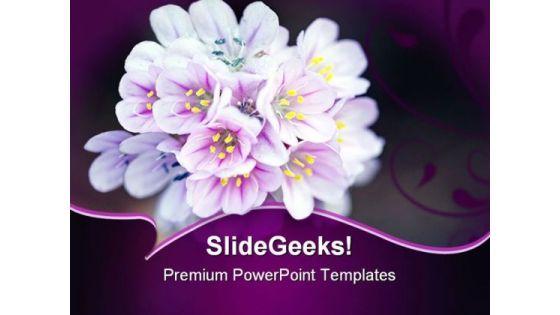 wild_flower_beauty_powerpoint_themes_and_powerpoint_slides_0211_title.jpg