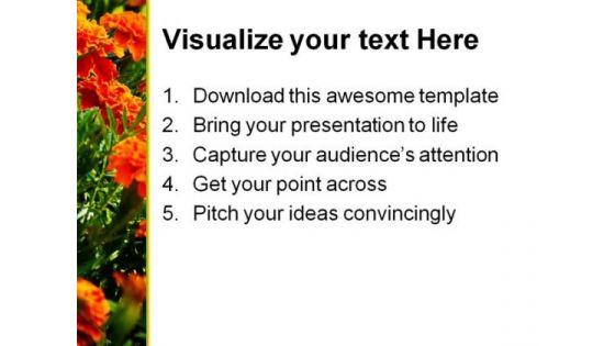 wild_flowers_beauty_powerpoint_template_0610_print.jpg