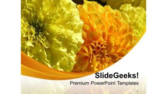 yellow_flower_background_with_unique_design_powerpoint_templates_ppt_backgrounds_for_slides_0713_title.jpg
