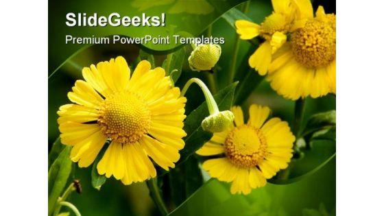 yellow_flowers_beauty_powerpoint_templates_and_powerpoint_backgrounds_0211_title.jpg