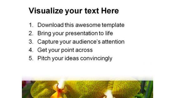 yellow_orchids_beauty_powerpoint_templates_and_powerpoint_backgrounds_0211_print.jpg