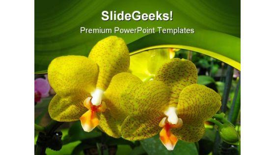 yellow_orchids_beauty_powerpoint_templates_and_powerpoint_backgrounds_0211_title.jpg