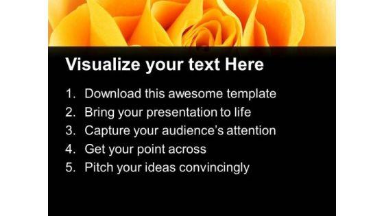 yellow_rose_beauty_powerpoint_templates_ppt_backgrounds_for_slides_0213_text.jpg