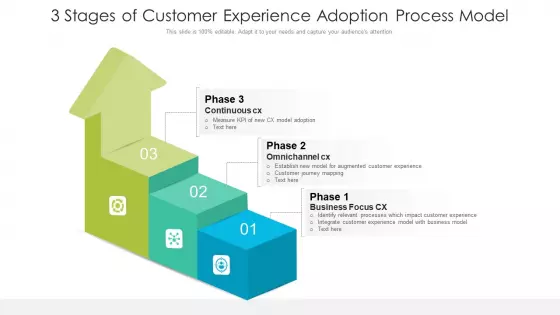 3 Stages Of Customer Experience Adoption Process Model Graphics PDF