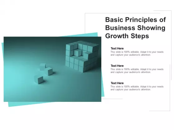 Basic Principles Of Business Showing Growth Steps Ppt PowerPoint Presentation Gallery Example
