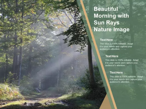 Beautiful Morning With Sun Rays Nature Image Ppt PowerPoint Presentation Themes