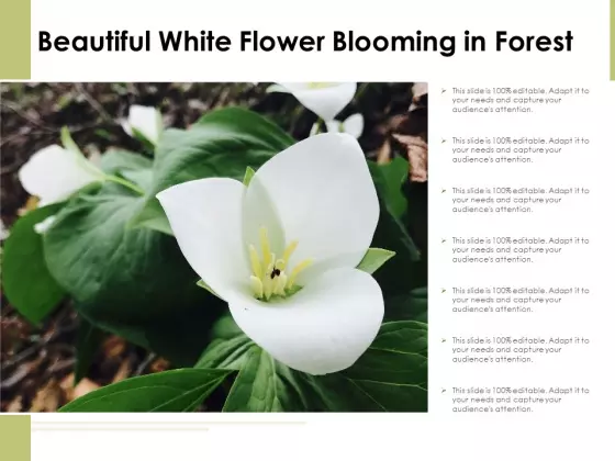 Beautiful White Flower Blooming In Forest Ppt PowerPoint Presentation Icon Infographics PDF