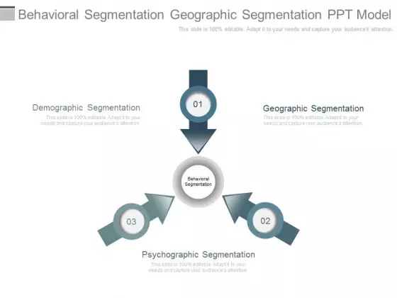 Behavioral Segmentation Geographic Segmentation Ppt Model