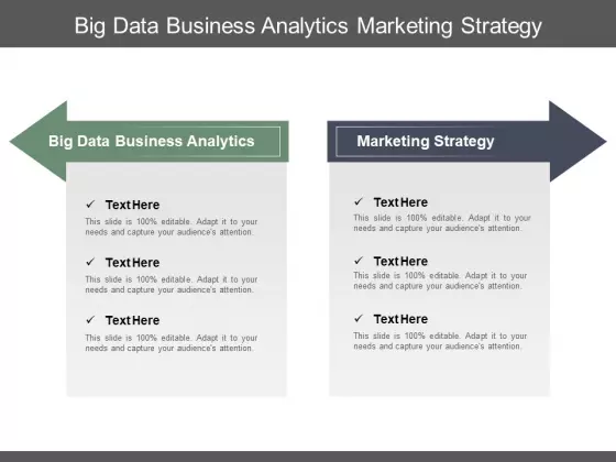 Big Data Business Analytics Marketing Strategy Marketing Demographics Ppt PowerPoint Presentation Gallery Inspiration