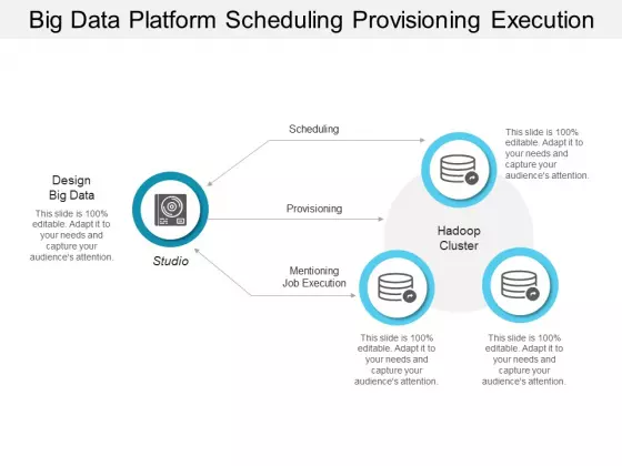 Big Data Platform Scheduling Provisioning Execution Ppt Powerpoint Presentation Professional File Formats