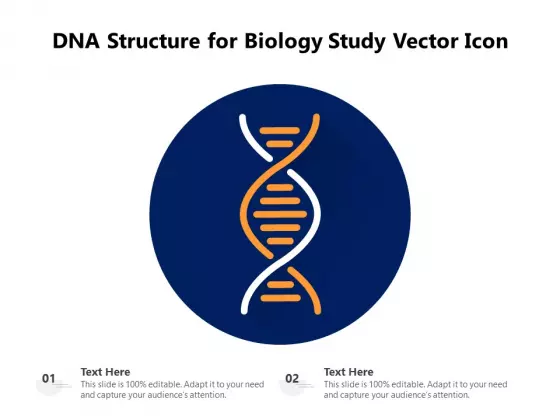 DNA Structure For Biology Study Vector Icon Ppt PowerPoint Presentation Gallery Background Designs PDF
