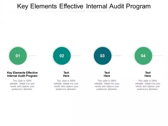 Key Elements Effective Internal Audit Program Ppt PowerPoint Presentation Show Guidelines Cpb