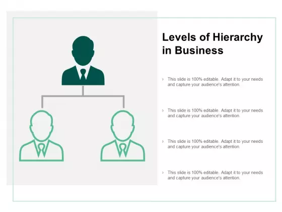 Levels Of Hierarchy In Business Ppt PowerPoint Presentation Infographics Summary