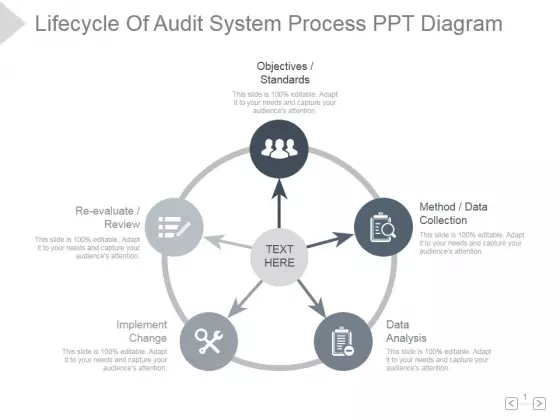 Lifecycle Of Audit System Process Ppt PowerPoint Presentation Icon