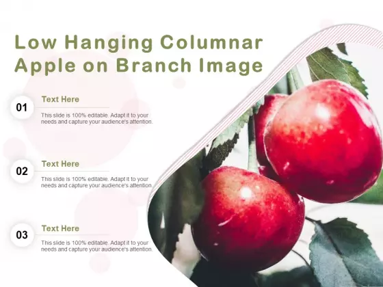 Low Hanging Columnar Apple On Branch Image Ppt PowerPoint Presentation Gallery Pictures PDF