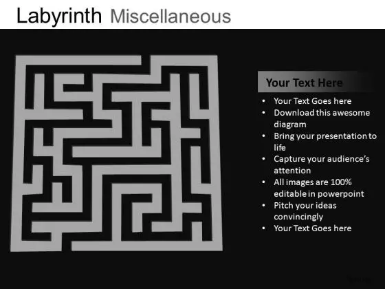 Labyrinth Maze PowerPoint Templates Path Ppt Slides