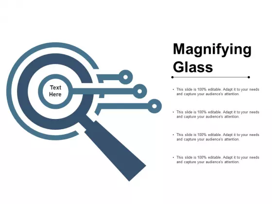 Magnifying Glass Business Management Ppt PowerPoint Presentation Summary Format