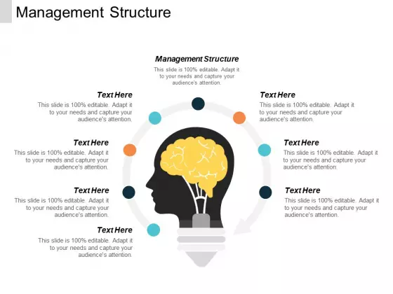Management Structure Ppt PowerPoint Presentation File Show Cpb