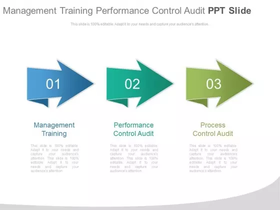 Management Training Performance Control Audit Ppt Slide