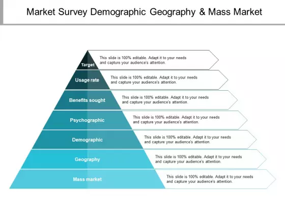 Market Survey Demographic Geography And Mass Market Ppt PowerPoint Presentation Gallery Slide