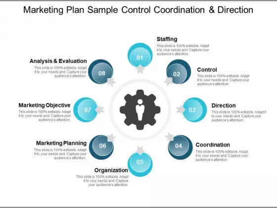 Marketing Plan Sample Control Coordination And Direction Ppt PowerPoint Presentation Outline Themes
