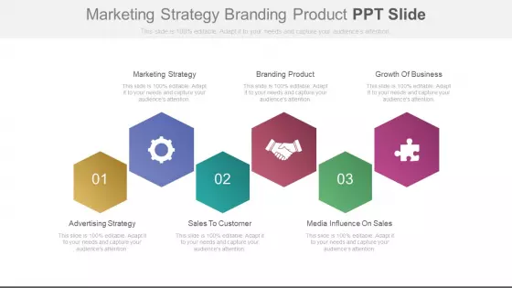 Marketing Strategy Branding Product Ppt Slide