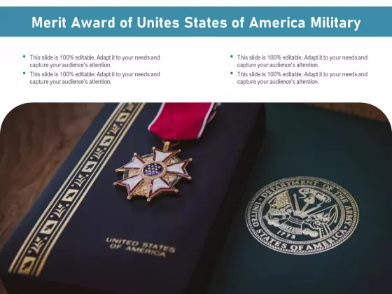Merit Award Of Unites States Of America Military Ppt PowerPoint Presentation Icon Infographic Template PDF