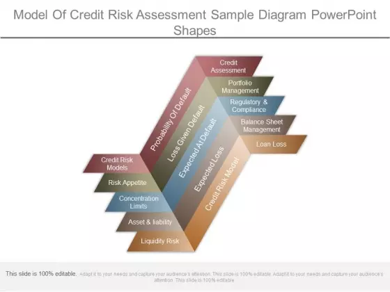 Model Of Credit Risk Assessment Sample Diagram Powerpoint Shapes