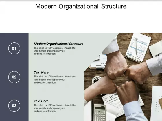Modern Organizational Structure Ppt PowerPoint Presentation Slides Cpb