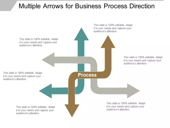 Multiple Arrows For Business Process Direction Ppt Powerpoint Presentation Layouts Icon