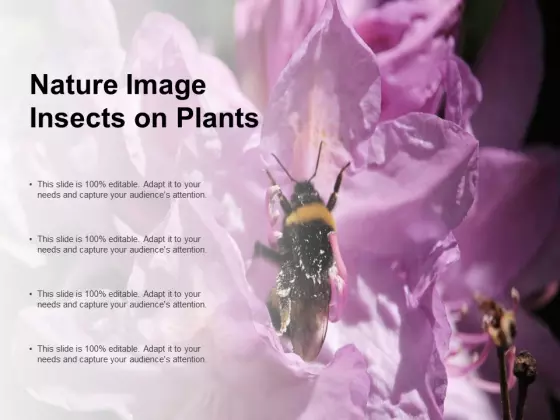 Nature Image Insects On Plants Ppt PowerPoint Presentation Styles Brochure