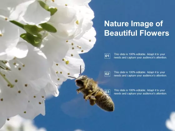 Nature Image Of Beautiful Flowers Ppt PowerPoint Presentation Portfolio Slide Portrait