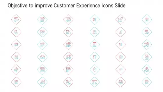 Objective To Improve Customer Experience Icons Slide Ppt Inspiration Infographic Template PDF
