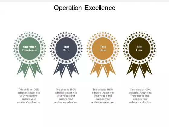 Operation Excellence Ppt PowerPoint Presentation Pictures Vector Cpb