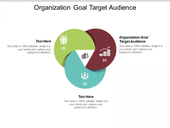 Organization Goal Target Audience Ppt PowerPoint Presentation Slides Information Cpb
