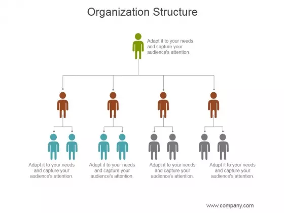 Organization Structure Ppt PowerPoint Presentation Inspiration